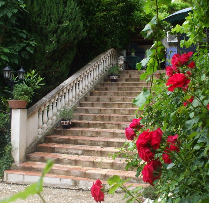 monte escaliers rosiers