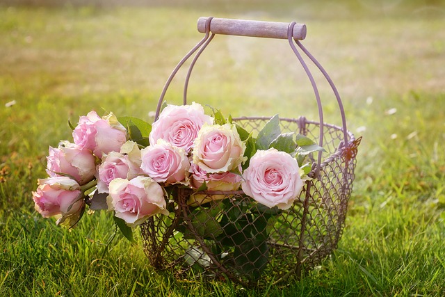 Roses 1566792 640