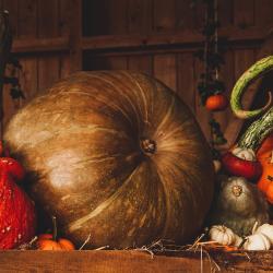 Still life 3698130 1920